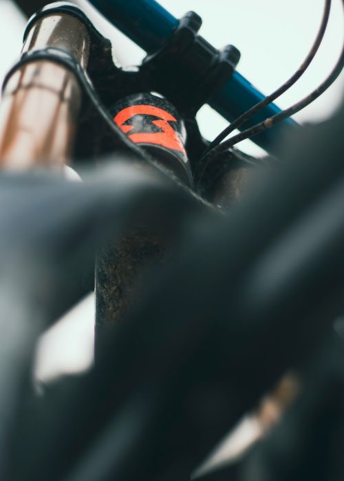 alexander-bonello-41oJDFd7pm4-unsplash